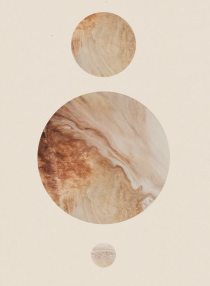 Soft blush petal unfurling, a quiet image of the cocoon