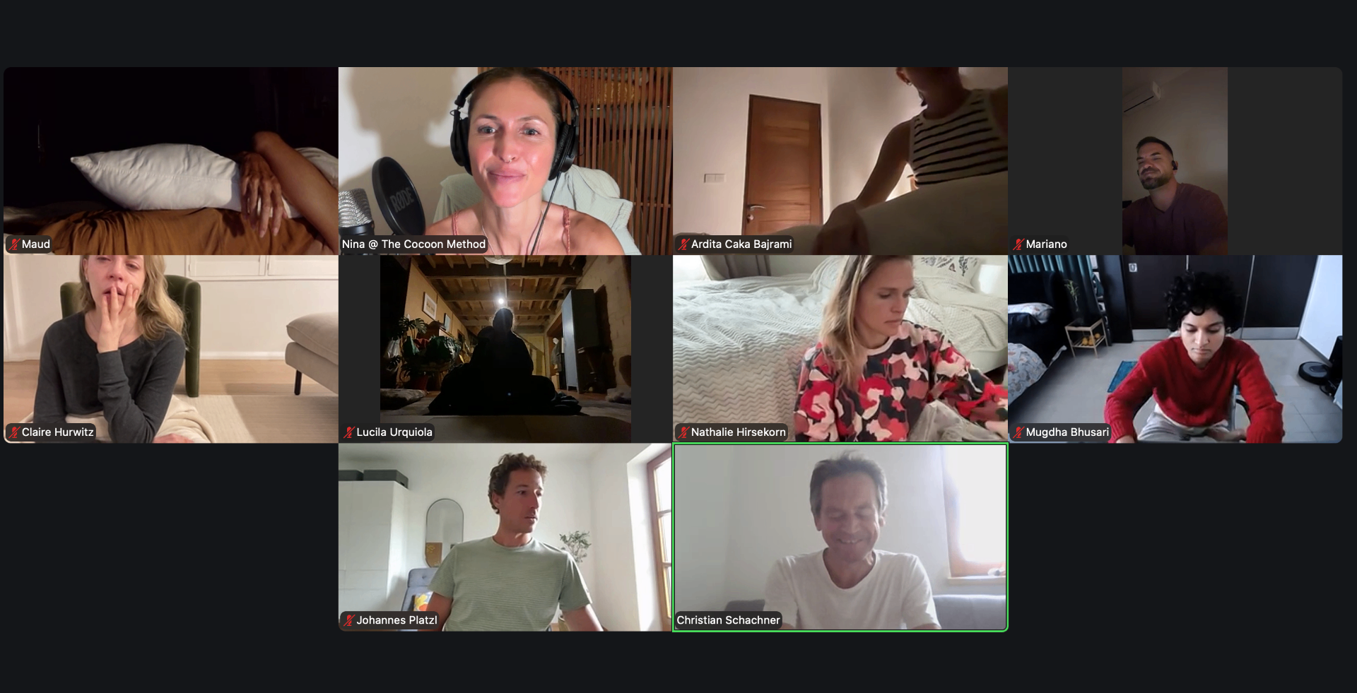 Nina leading a live online Cocoon Method group session with practitioners joining from around the world